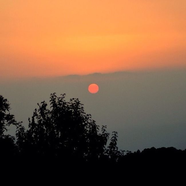 Photo of Billing Valley, Biling, Himachal Pradesh, India by Varun Sharma