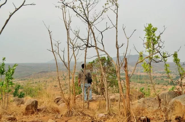 Photo of Makali Durga, Makalidurga Trail, Bangalore Rural, Karnataka, India by Gaurav Ray