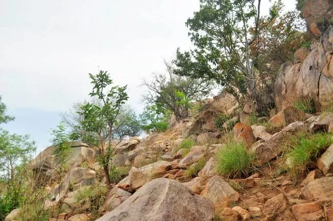 Photo of Makali Durga, Makalidurga Trail, Bangalore Rural, Karnataka, India by Gaurav Ray
