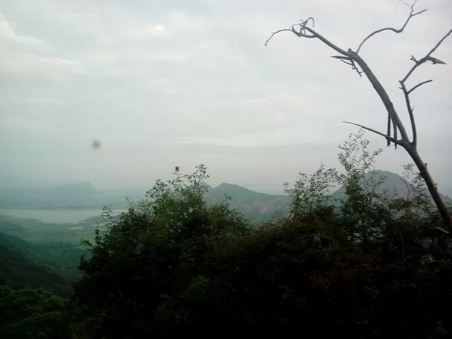 Photo of Kodaikanal, Tamil Nadu, India by Rini Biswas