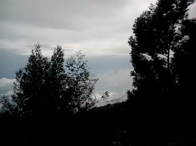 Photo of Vattakanal, Kodaikanal, Tamil Nadu, India by Rini Biswas