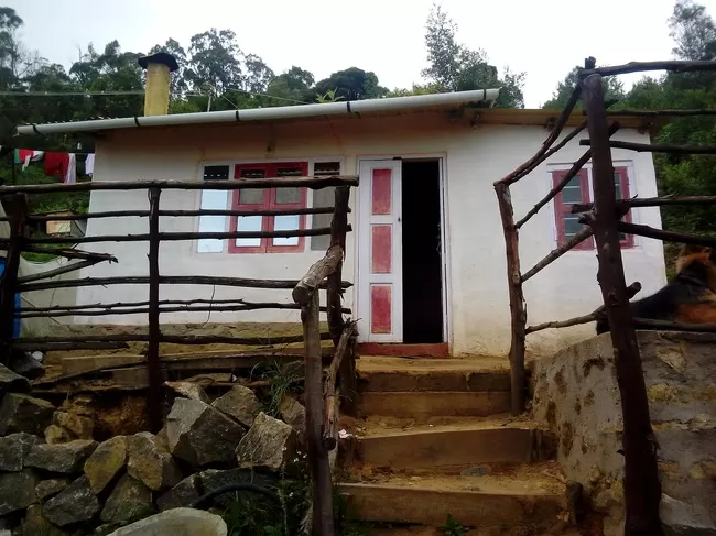 Photo of Vattakanal, Kodaikanal, Tamil Nadu, India by Rini Biswas