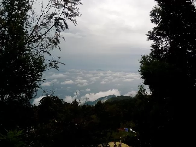 Photo of Vattakanal, Kodaikanal, Tamil Nadu, India by Rini Biswas
