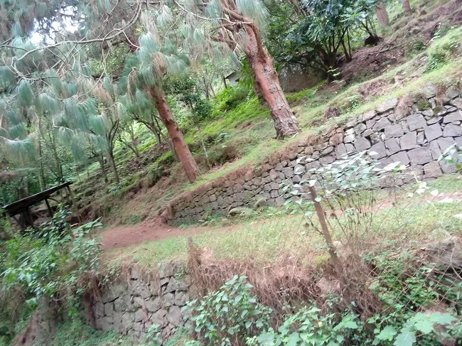 Photo of Vattakanal, Kodaikanal, Tamil Nadu, India by Rini Biswas