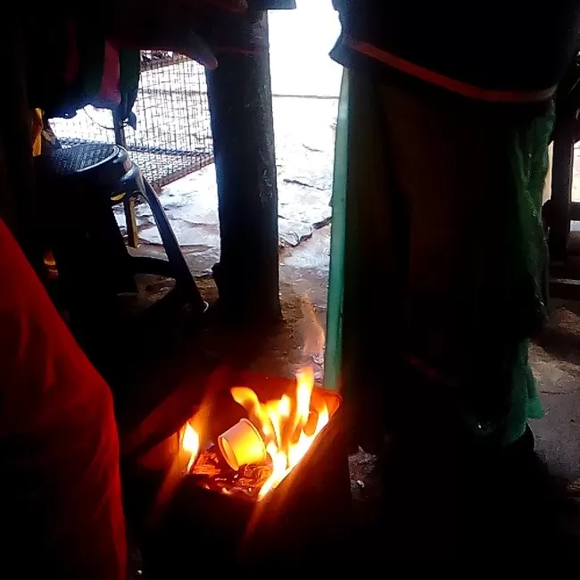 Photo of Vattakanal, Kodaikanal, Tamil Nadu, India by Rini Biswas