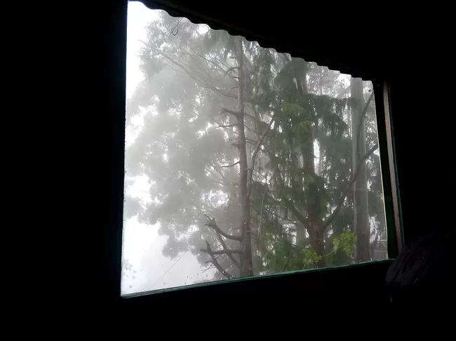 Photo of Vattakanal, Kodaikanal, Tamil Nadu, India by Rini Biswas