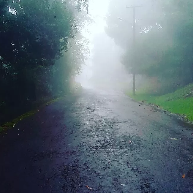 Photo of Kodaikanal, Tamil Nadu, India by Rini Biswas