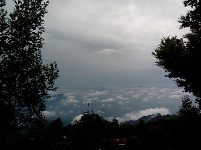 Photo of An abode above the clouds – Vattakanal by Rini Biswas