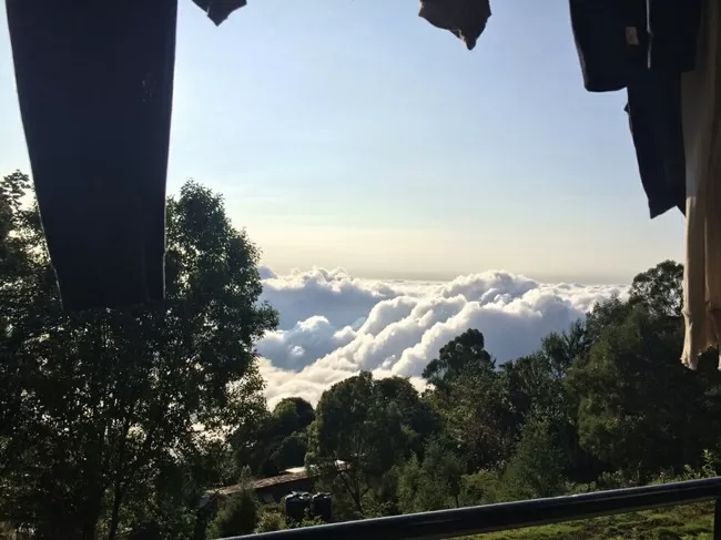 Photo of Vattakanal, Kodaikanal, Tamil Nadu, India by babith thekkan
