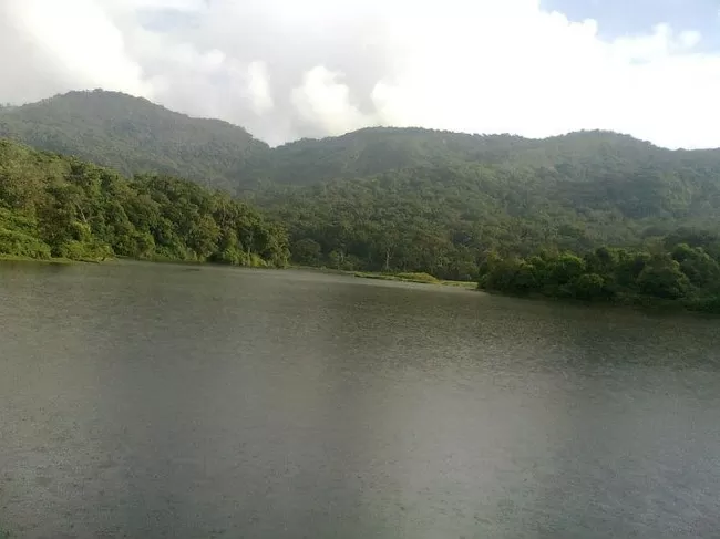 Photo of Vattakanal, Kodaikanal, Tamil Nadu, India by Pluto Panes