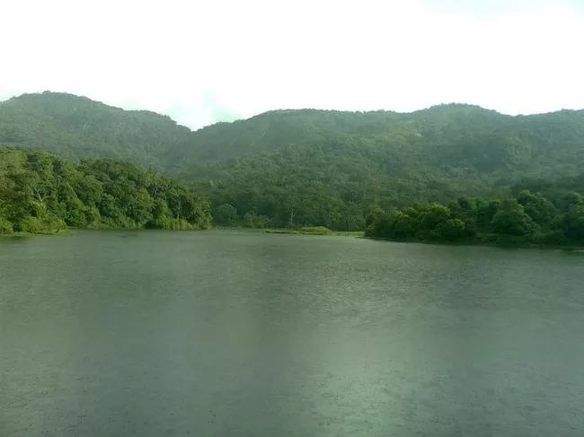 Photo of Vattakanal, Kodaikanal, Tamil Nadu, India by Pluto Panes