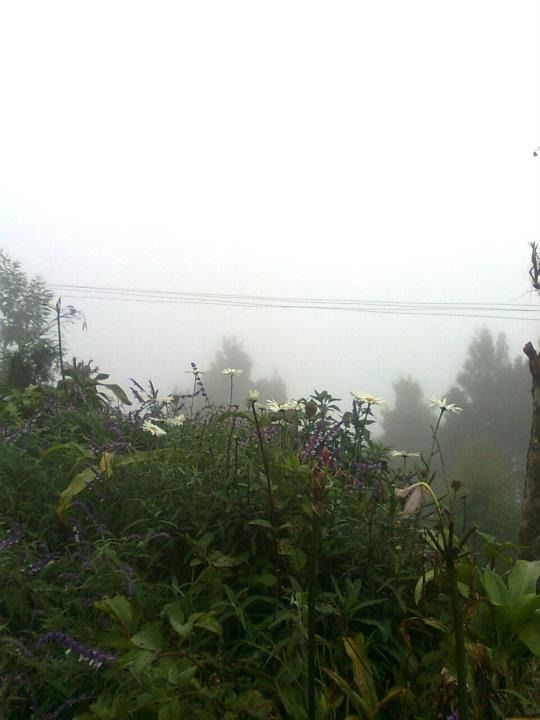 Photo of Vattakanal, Poombarai and towards infinity by Pluto Panes