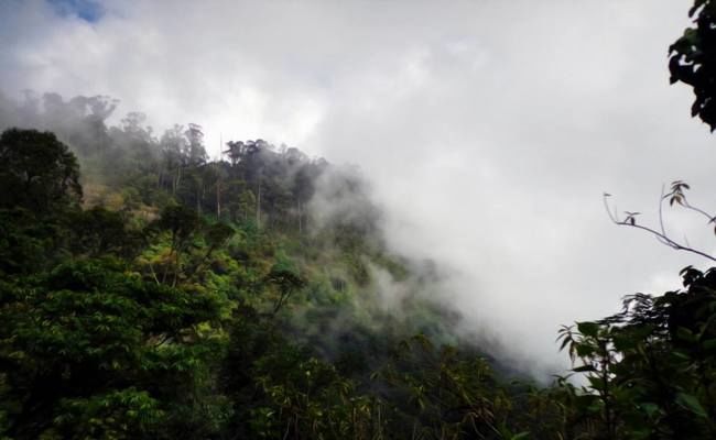 Photo of Magic Hills- Vattaikanal-Berijam-Kodaikanal 4/7 by Riyas P