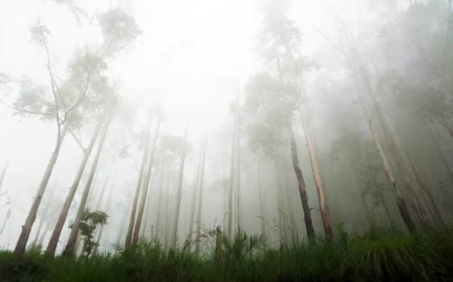 Photo of Magic Hills- Vattaikanal-Berijam-Kodaikanal 5/7 by Riyas P