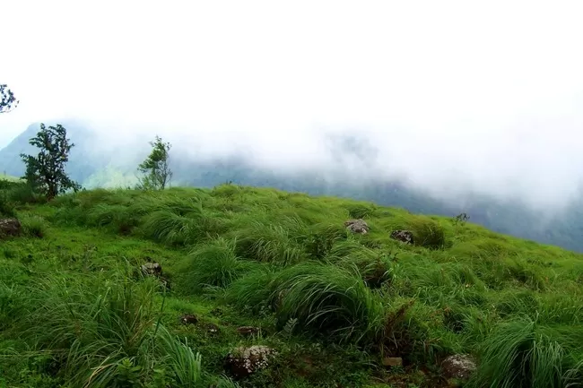 Photo of Ponmudi, Kerala, India by Aswathy Nair