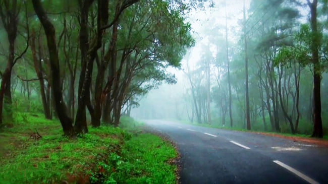 Photo of Exploring tourist places in Trivandrum – The capital city of Kerala by Aswathy Nair