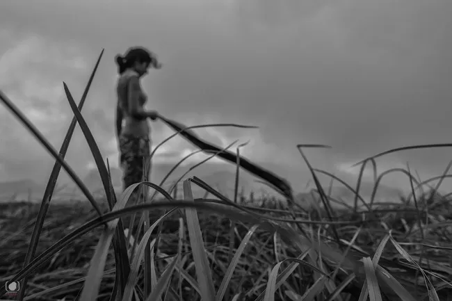 Photo of Ponmudi, Kerala, India by Salim Islam