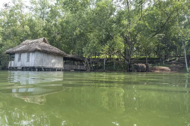 Photo of Neyyar, Thiruvananthapuram, Kerala, India by Salim Islam