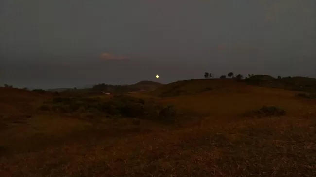 Photo of Vagamon, Kerala, India by Arun K C