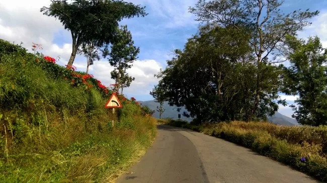 Photo of Munnar, Kerala, India by Arun K C