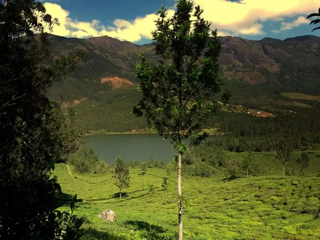 Photo of Mattupetty, Kerala, India by Arun K C
