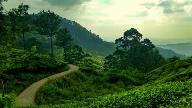 Photo of Pothamedu Viewpoint, Idukki, Kerala, India by Arun K C