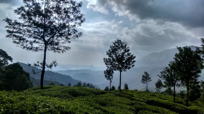 Photo of Pothamedu Viewpoint, Idukki, Kerala, India by Arun K C