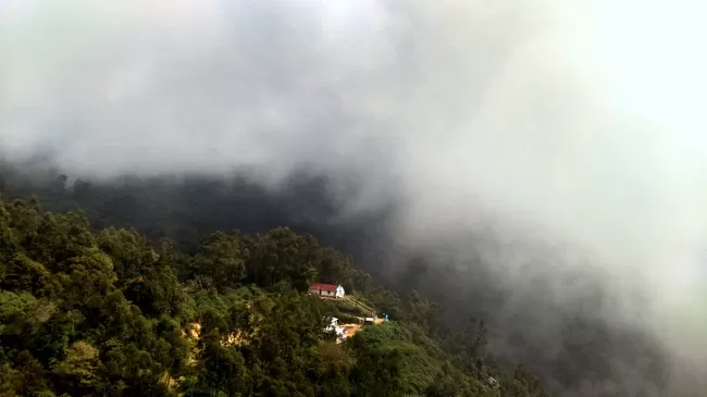 Photo of Munnar, Kerala, India by Arun K C