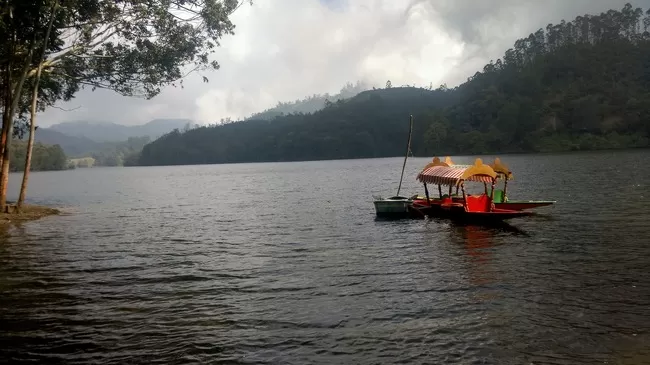 Photo of Munnar, Kerala, India by Arun K C