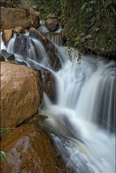 Photo of Coonoor, Tamil Nadu, India by Nancy Kay