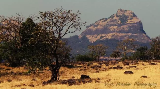 Photo of Rajmachi Trek, Kondhane, Maharashtra, India by Vivek Prashar