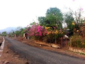Photo of Rajmachi Trek, Kondhane, Maharashtra, India by Harsh Singh