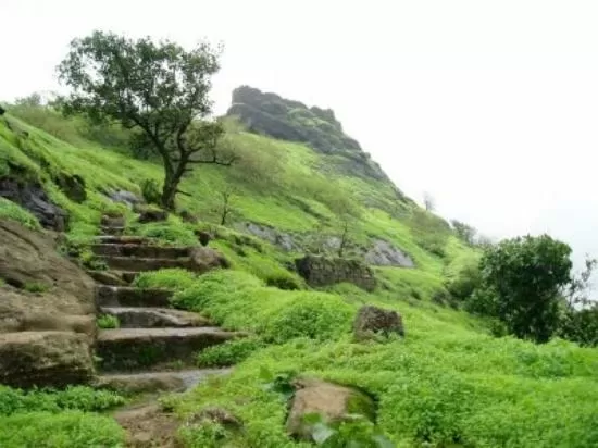 Photo of Rajmachi Trek, Kondhane, Maharashtra, India by Vini Lilian