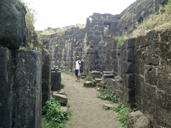 Photo of Rajmachi Trek, Kondhane, Maharashtra, India by The Herbal Monks