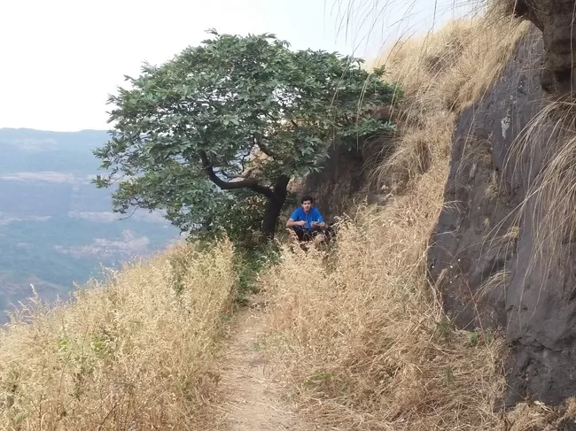 Photo of Rajmachi Trek, Kondhane, Maharashtra, India by The Herbal Monks