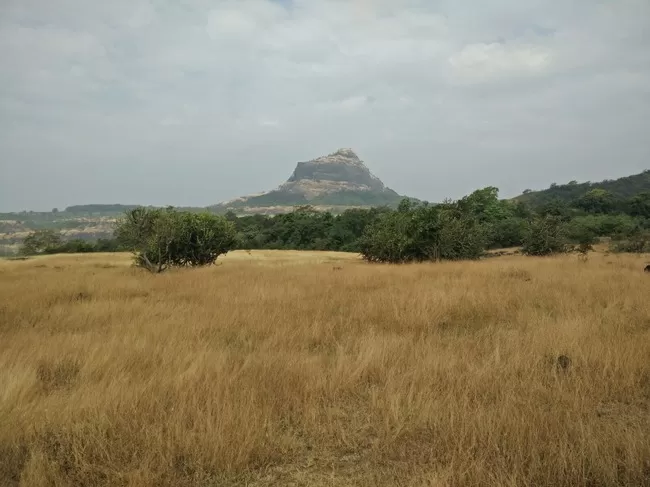 Photo of Rajmachi Trek, Kondhane, Maharashtra, India by The Herbal Monks