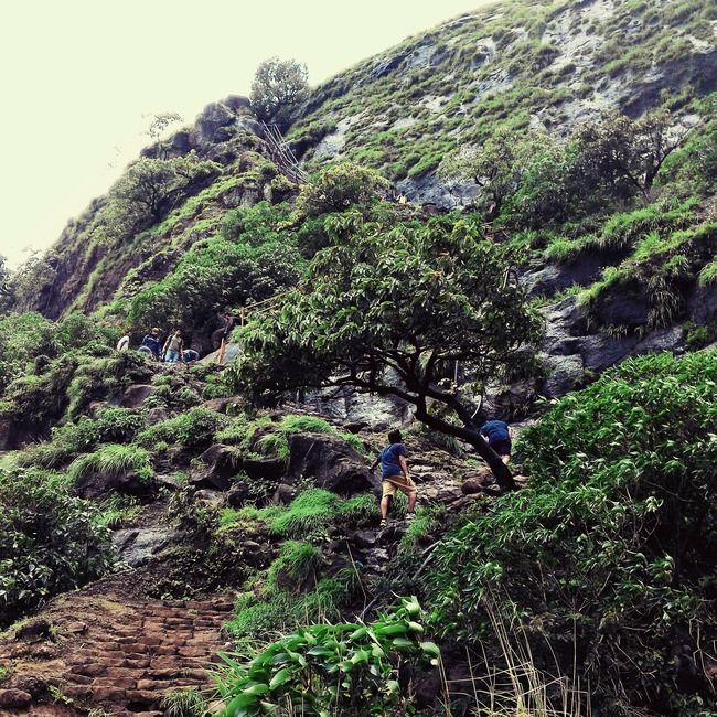 Photo of Dream Trek To Kalsubai Peak by ExploGraphr