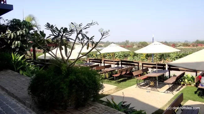 Photo of Sula Vineyards, Nashik, Maharashtra, India by Cloud9miles