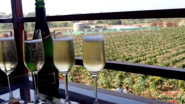 Photo of Sula Vineyards, Nashik, Maharashtra, India by Cloud9miles