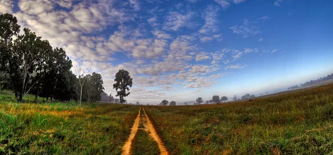 Photo of Kanha National Park, Mandla, Madhya Pradesh, India by Trisha Singh
