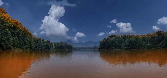 Photo of Satpura National Park, Suplai, Madhya Pradesh, India by Trisha Singh