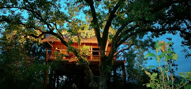 Photo of Bandhavgarh Tiger Reserve, Kila Bandhogarh, Madhya Pradesh, India by Trisha Singh