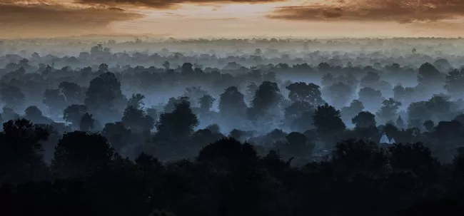 Photo of Pench Tiger Reserve, Seoni, Madhya Pradesh, India by Trisha Singh
