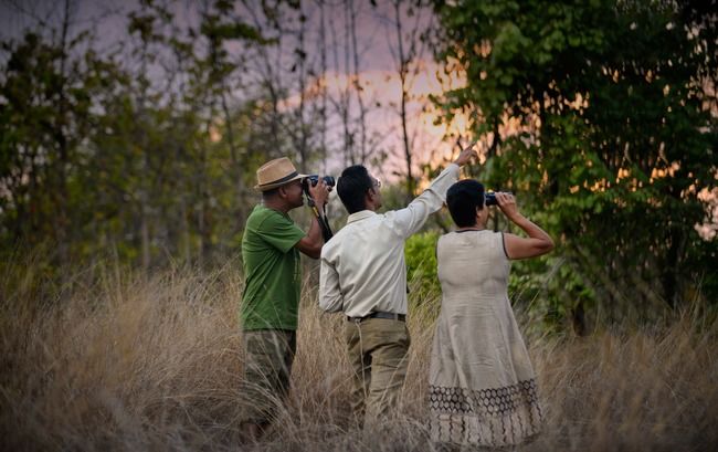 Photo of Why A Journey Into The Wild Is Exactly What You Need Right Now by Trisha Singh