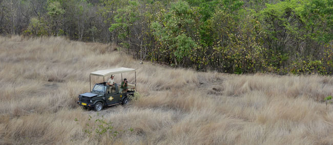 Photo of Why A Journey Into The Wild Is Exactly What You Need Right Now by Trisha Singh