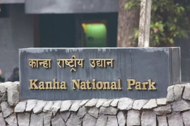 Photo of Kanha National Park, Mandla, Madhya Pradesh, India by Dipti Gavit