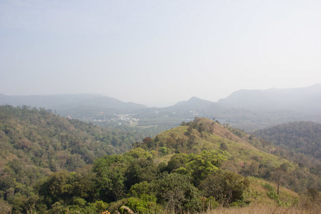 Photo of Safari in Periyar Tiger Reserve! by Nicolas Zapata