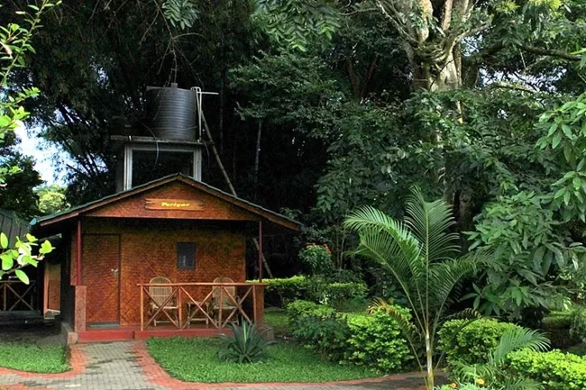 Photo of Periyar National Park, Mlappara, Kerala, India by Divya Soundararajan