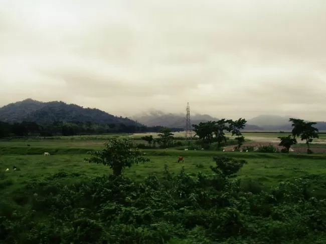 Photo of Buxa Tiger Reserve, Buxa Forest, West Bengal, India by Mustak Ali