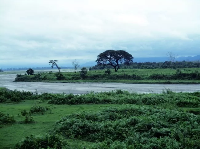 Photo of Buxa Tiger Reserve, Buxa Forest, West Bengal, India by Mustak Ali